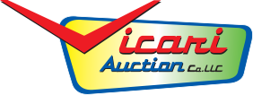 Vicari Auction
